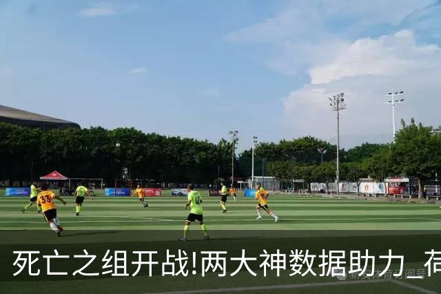 死亡之组开战!两大神数据助力 荷兰或小胜日本