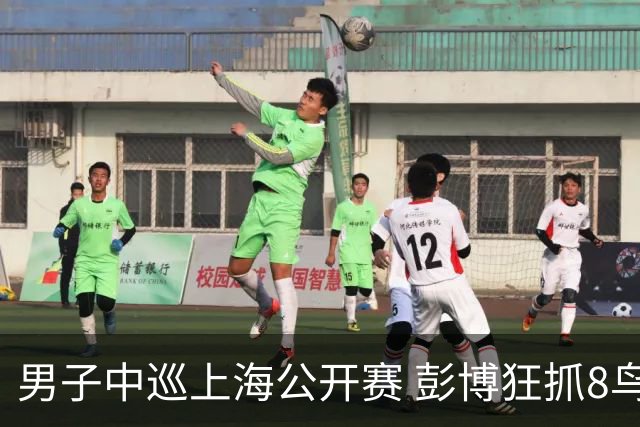 男子中巡上海公开赛 彭博狂抓8鸟两轮-16跃居榜首
