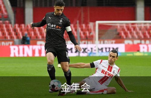 金年会简介